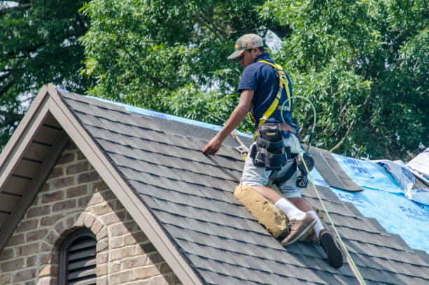 Best Flat Roof Repair Services  in Mokena, IL